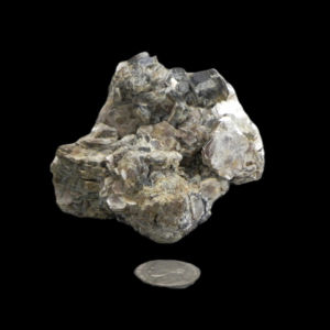 3209a Muscovite, Yates Brooks Farm, North Carolina